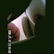 A hidden camera installed in a public restroom records a woman peeing and possibly pooping, based on the amount of time she sits there. Audio is somewhat sketchy. Over 2 minutes.